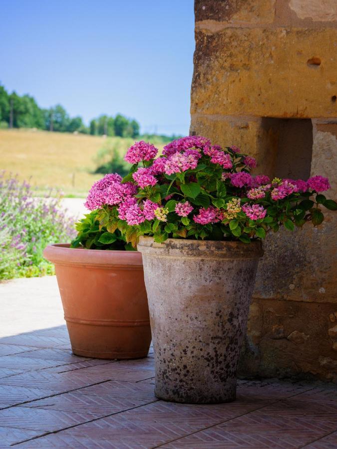 Le Nid De Faucons Vila Lalinde Exterior foto